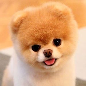 Meet your Posher, Yulissa